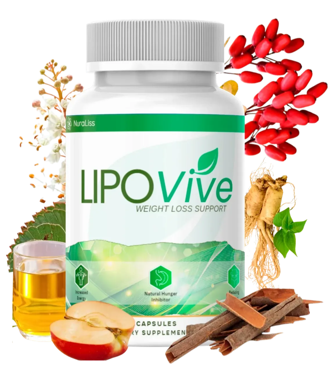 LipoVive Home image